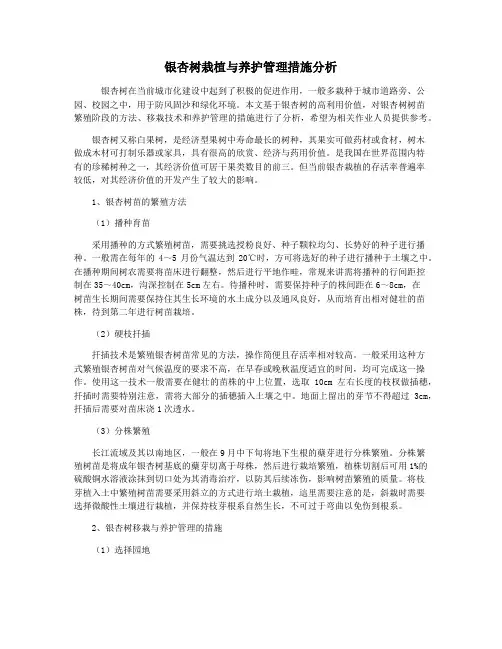 银杏树栽植与养护管理措施分析