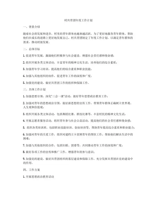 村共青团年度工作计划