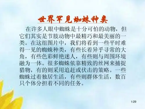 世界罕见蜘蛛种类