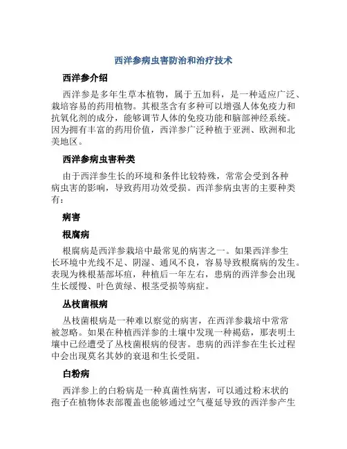 西洋参病虫害防治和治疗技术