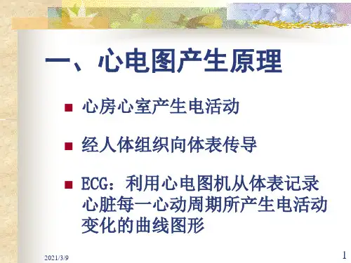 心电图讲稿1PPT幻灯片