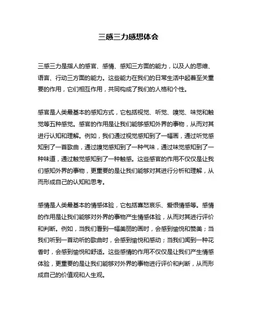 三感三力感想体会