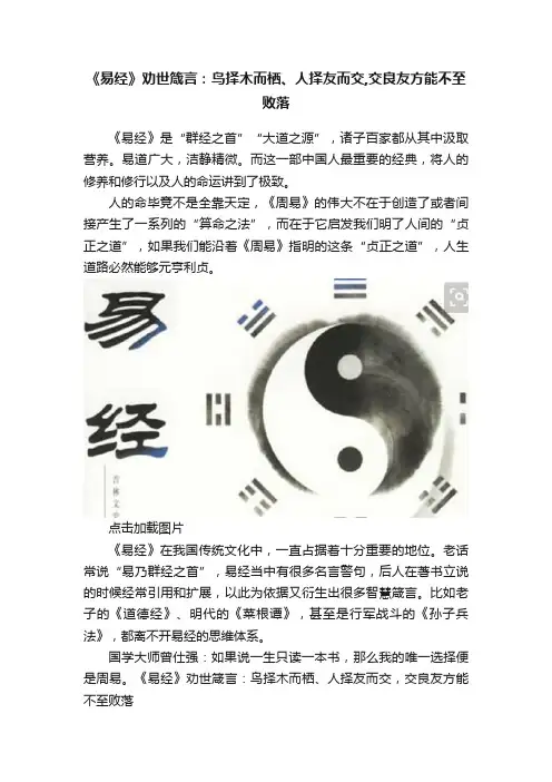 《易经》劝世箴言：鸟择木而栖、人择友而交,交良友方能不至败落
