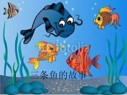 三条鱼的故事