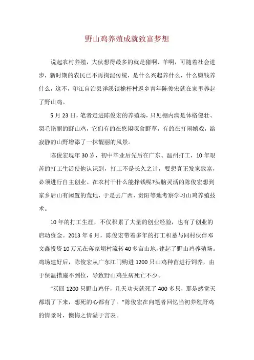 野山鸡养殖成就致富梦想