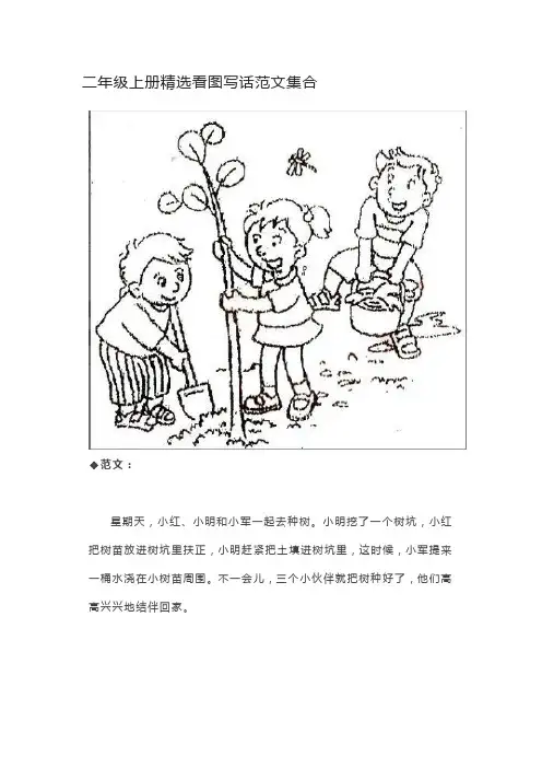 看图写话 二年级上册
