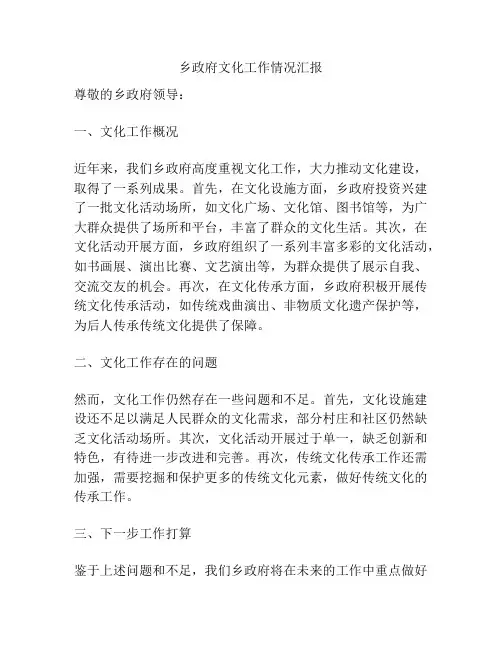乡政府文化工作情况汇报