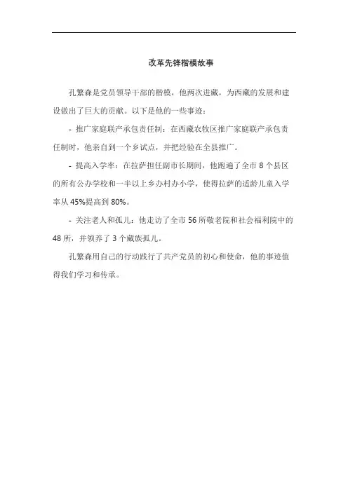 改革先锋楷模故事