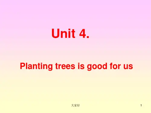 新湘少版六年级下册英语Unit4