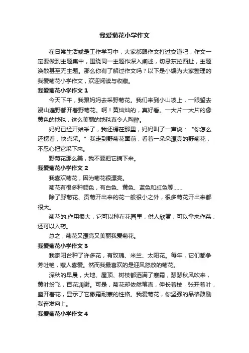 我爱菊花小学作文6篇