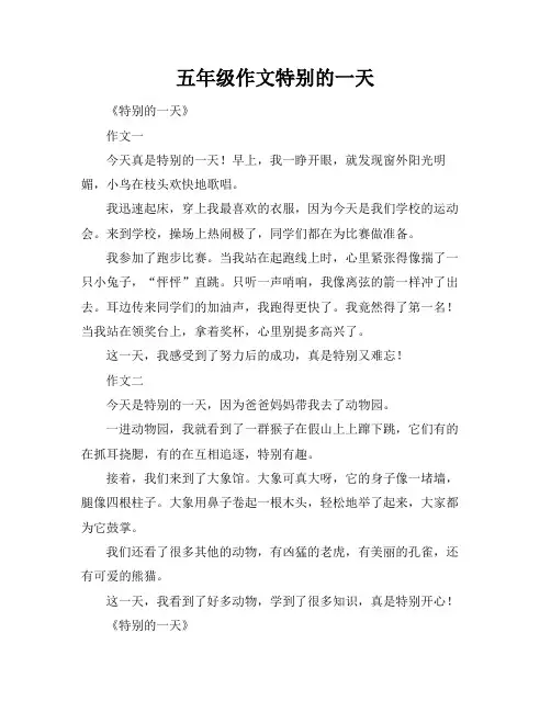 五年级作文特别的一天