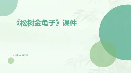 《松树金龟子》课件