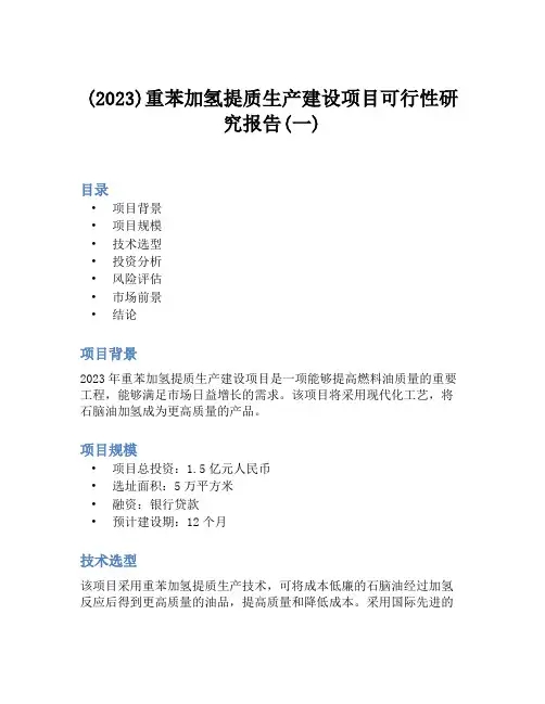 (2023)重苯加氢提质生产建设项目可行性研究报告(一)