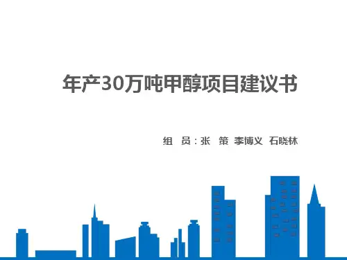 年产30万吨甲醇项目建议书