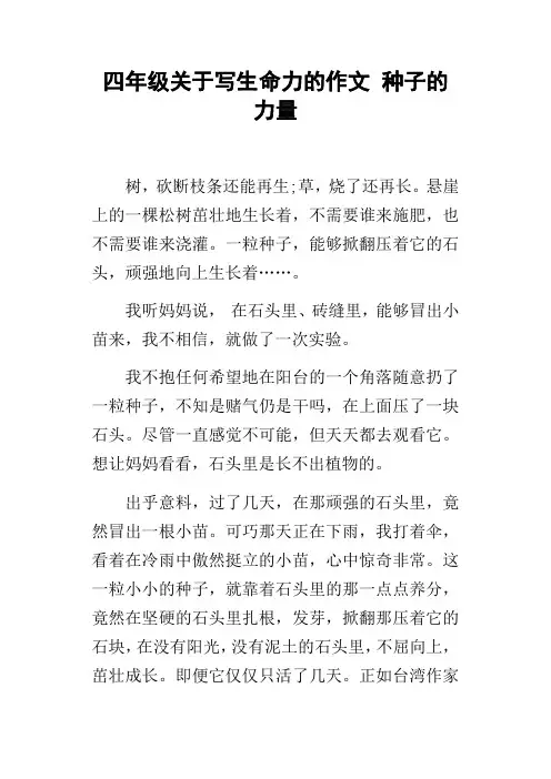 四年级关于写生命力的作文种子的力量