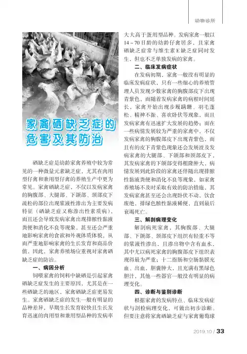 家禽硒缺乏症的危害及其防治