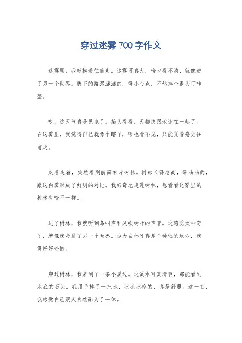 穿过迷雾700字作文