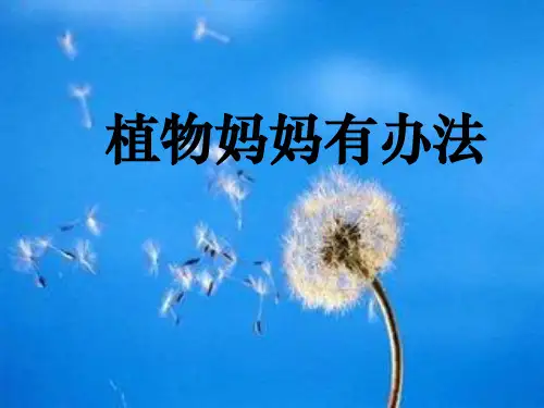 人教版小学二年级语文上册《植物妈妈有办法》课件