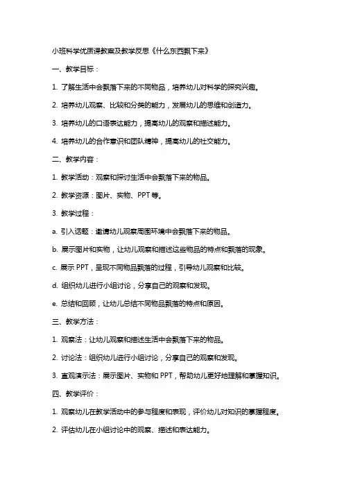 小班科学课教案及教学反思《什么东西飘下来》
