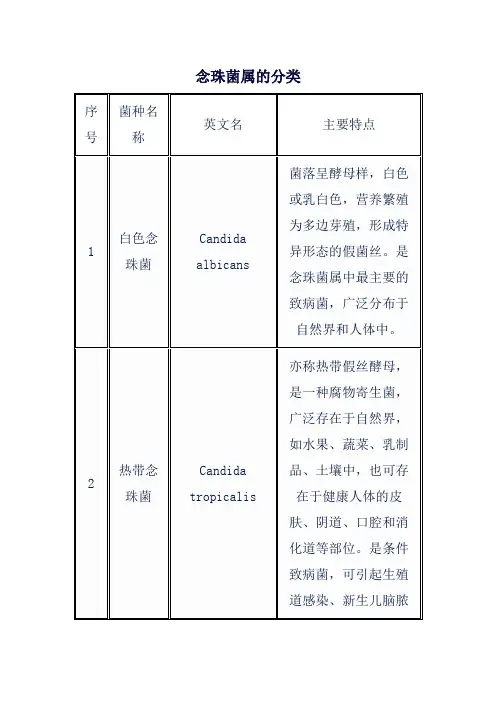 念珠菌属的分类