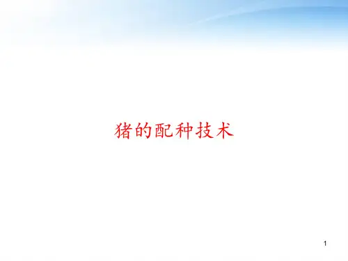 猪的配种技术 ppt课件