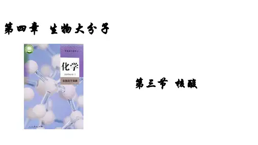 核酸-高二化学课件(人教版2019选择性必修3)
