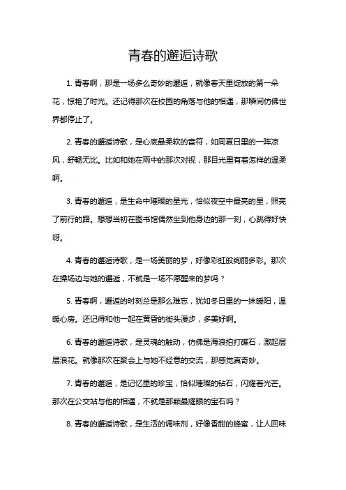青春的邂逅诗歌