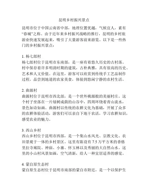 昆明乡村振兴景点