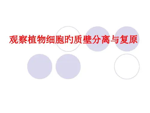观察植物细胞质壁分离和复原