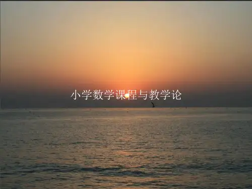 《小学数学课程与教学论》PPT课件教案