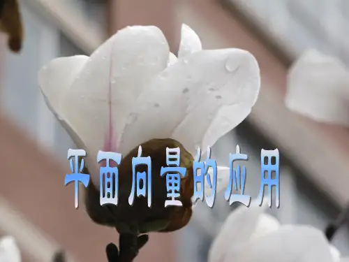 向量在平面几何中的应用