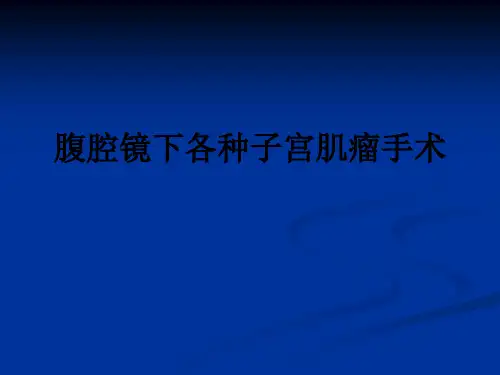 腹腔镜下各种子宫肌瘤手术ppt课件
