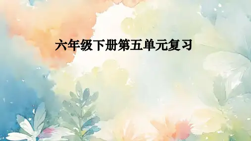 统编版语文六年级下册第五单元综合 复习 课件(共46张PPT)