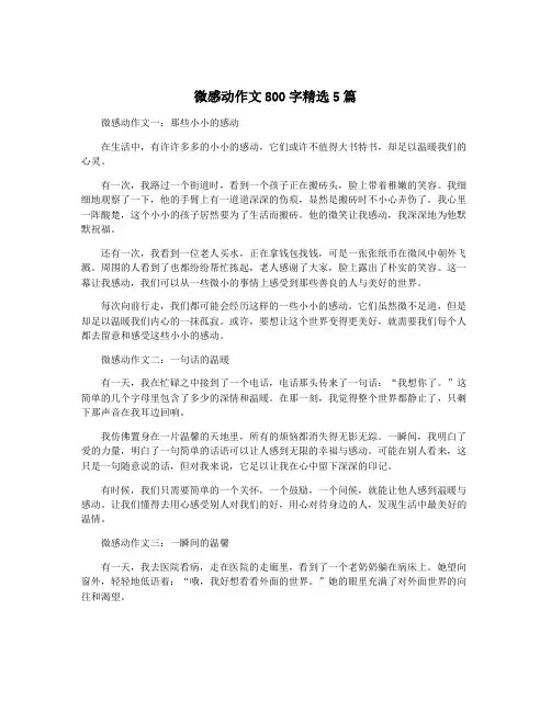 微感动作文800字精选5篇