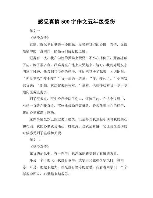 感受真情500字作文五年级受伤