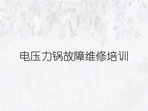 电压力锅故障维修培训