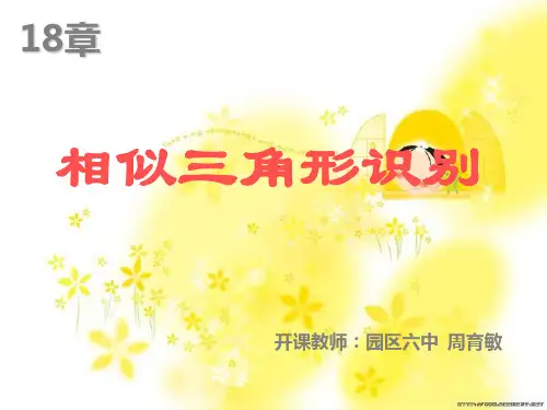 初二数学最新课件-相似三角形的识别[下学期]华师大版 精品