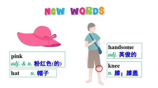 Unit 2 Section B(1a-2b)(课件)七年级英语上册(人教版2024)