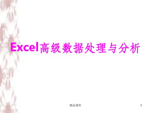 Excel电子表格高级数据处理与分析