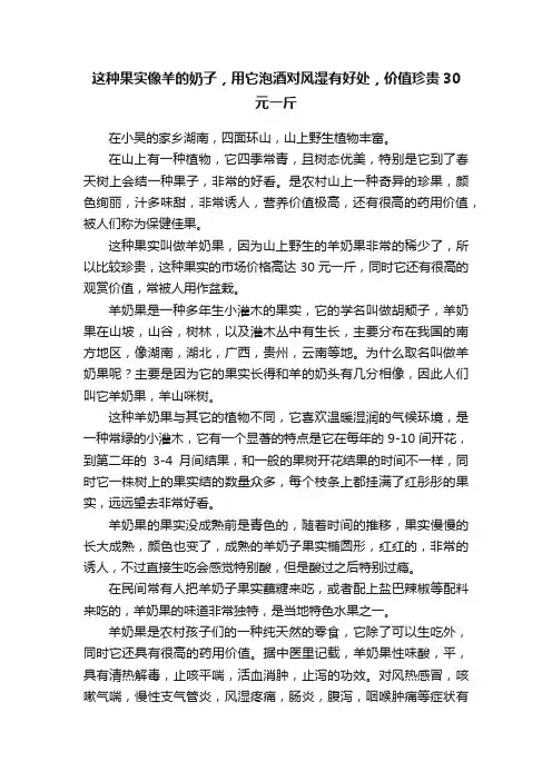 这种果实像羊的奶子，用它泡酒对风湿有好处，价值珍贵30元一斤