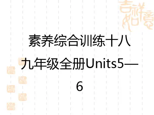 初中中考英语总复习练测课件 教材复习 素养综合训练 九年级全册Units 5—6