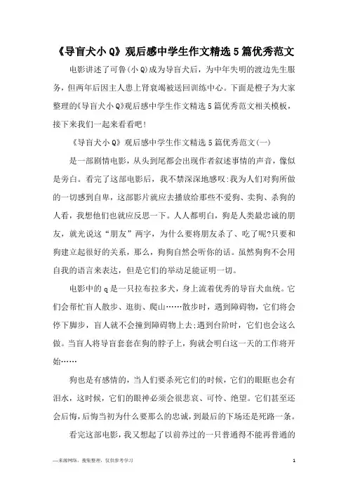 《导盲犬小Q》观后感中学生作文精选5篇优秀范文