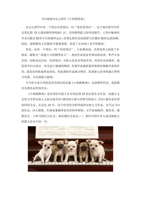 音乐：孕妇胎教音乐心理学《小狗圆舞曲》