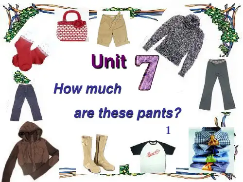 七年级英语上册 Unit 7 how much are these socks(第1课时)课件 (新