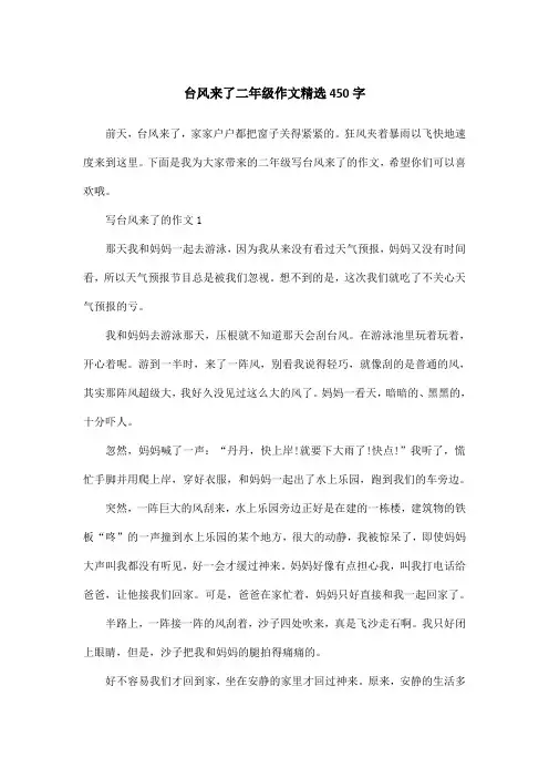 台风来了二年级作文精选450字