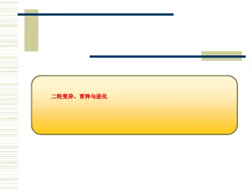 二轮变异、育种与进化