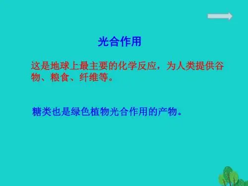 [精品课件]江苏省铜山县高中化学 专题3 有机化合物的获得与应用 3.2.1 糖类(5)课件 苏教版必修2