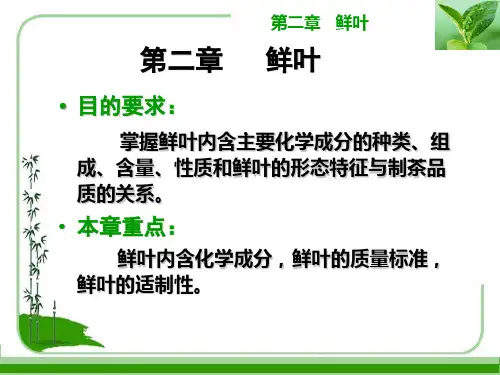 茶叶工艺学第二章鲜叶