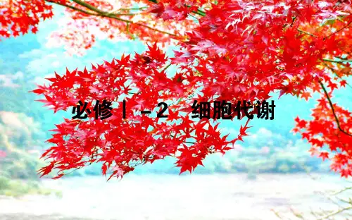 高考生物二轮复习2细胞代谢课件(必修1)高三必修1生物课件