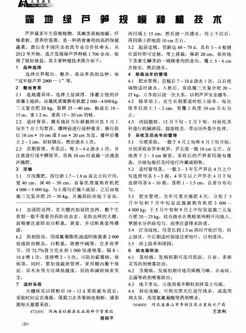 露地绿芦笋规模种植技术